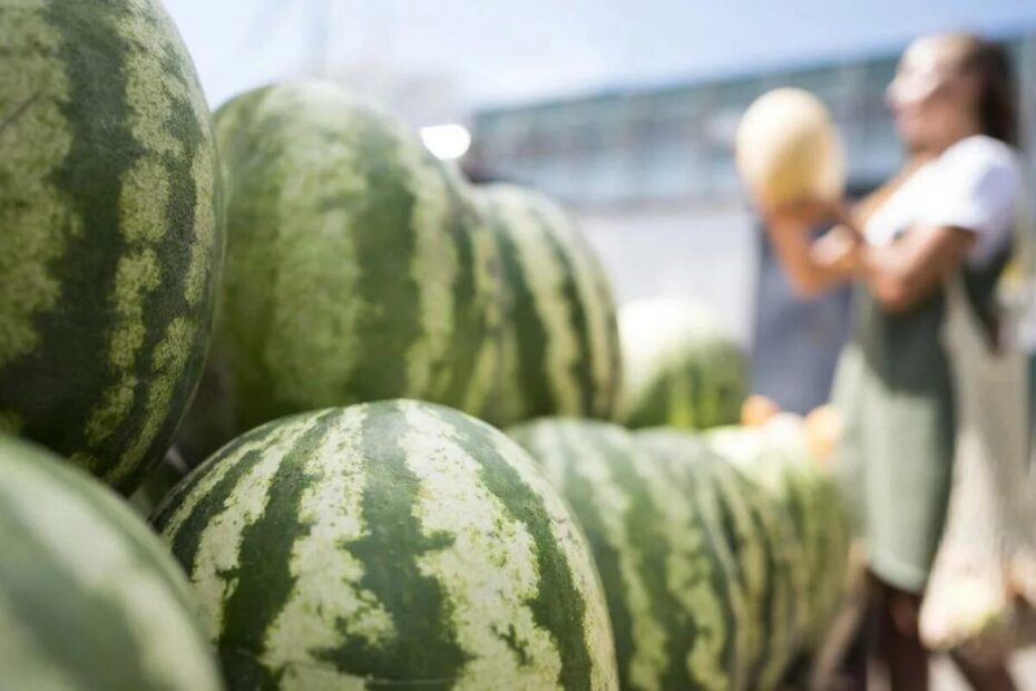 Näin valitset kypsän ja herkullisen vesimelonin – Täydellinen opas kesän makuun